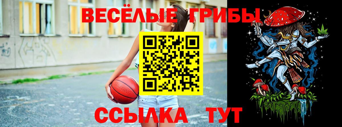 купить наркотики цена  Псилоцибиновые грибы мицелий  Вход с VPN  Мариинск 