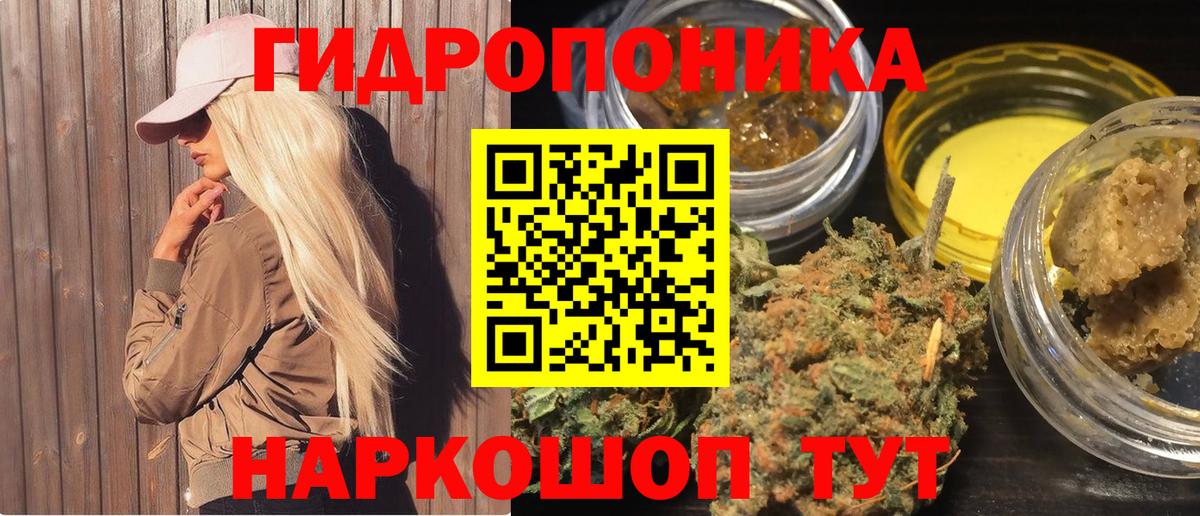 Каннабис OG Kush  Канабис гибрид  Канабис сатива  Мариинск  Вход с VPN 